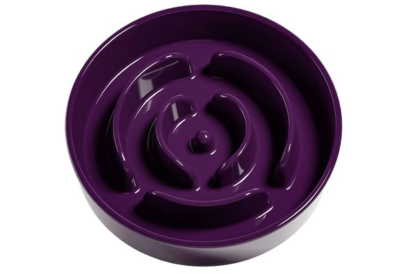 Slowfeeder Purple