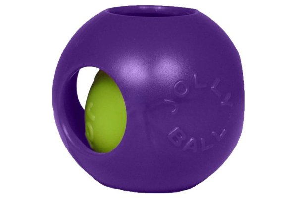 Teaser Ball Toy