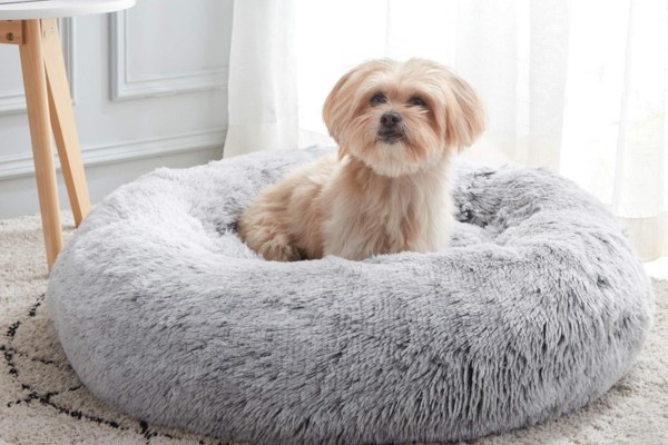 Dog Bed